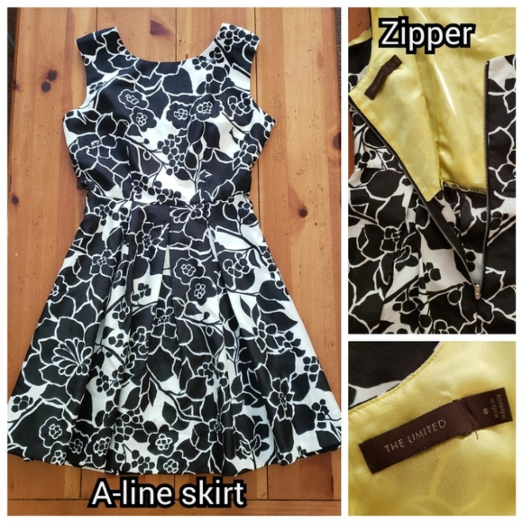 Black & White Floral A-Line Dress By The Limited